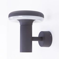 Citilux GARDA CLU01W LED Уличный настенный светильник Графит