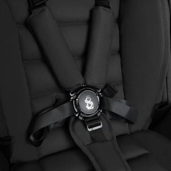 Коляска 2 в 1 SBL Dolce Black