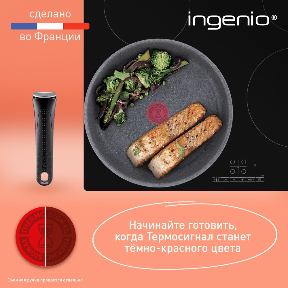 Набор посуды со съемной ручкой Tefal Ingenio Natural Force 5 предметов 16/20/22/28 см L3969053
