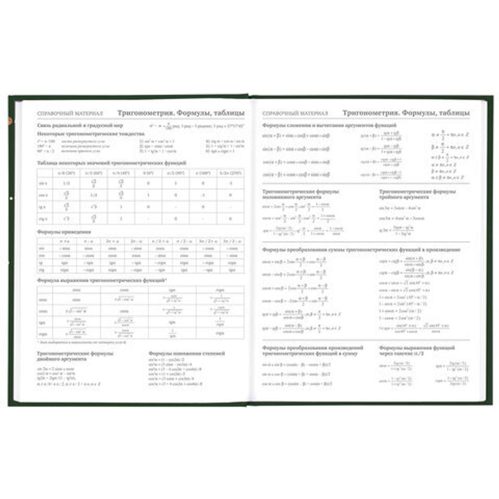 Дневник 5-11 класс 48 л., твердый, BRAUBERG, выборочный лак, с подсказом, "Футбол", 106412