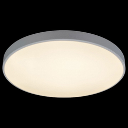 Накладной светильник Loft it 10002/48 White