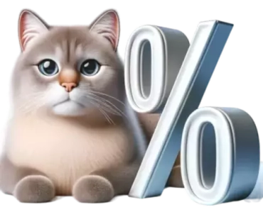 Акции для кошек