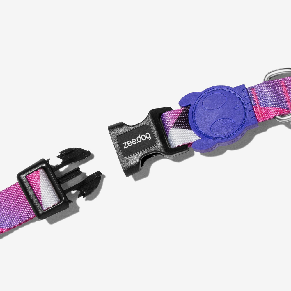 Ошейник MIDNIGHT Zee.Dog