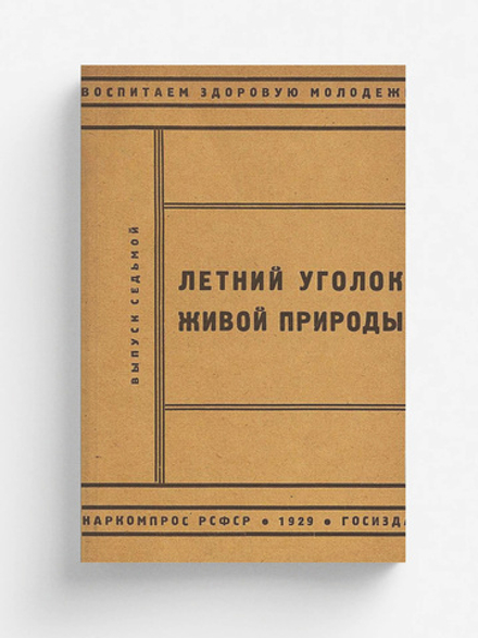 Летний уголок живой природы | Нет автора