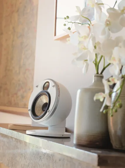 Focal DOME SAT 1.0 Black