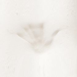 Подушка шелковая 50x70 Hefel Visco Classic