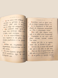 Антикварная книга Псалтырь. 1896 год.