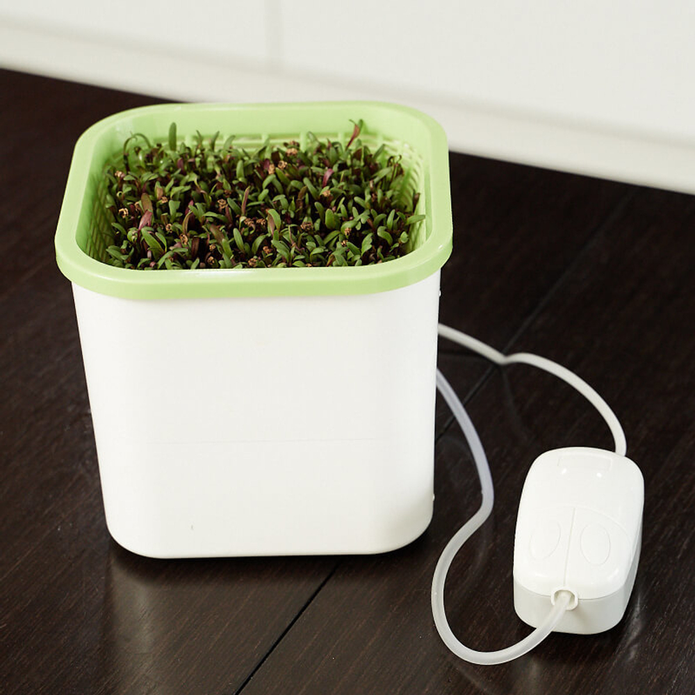 Аэросад. Здоровья клад, 9 ячеек