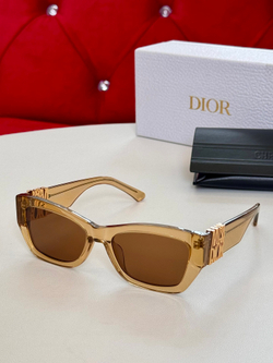 Christian Dior Glasses