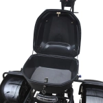 Электроскутер CityCoco Skyboard MyRussia (Маруся) BR60 3000W Trike