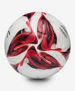 Мяч футбольный Triumph Elite №5