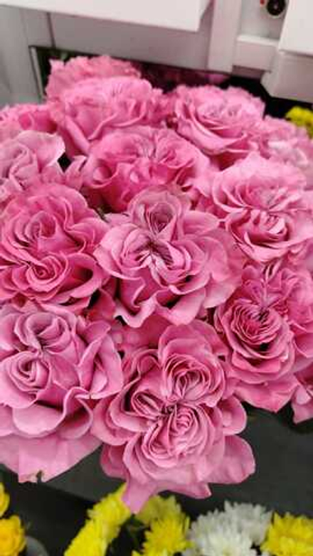 25 шт в ленту