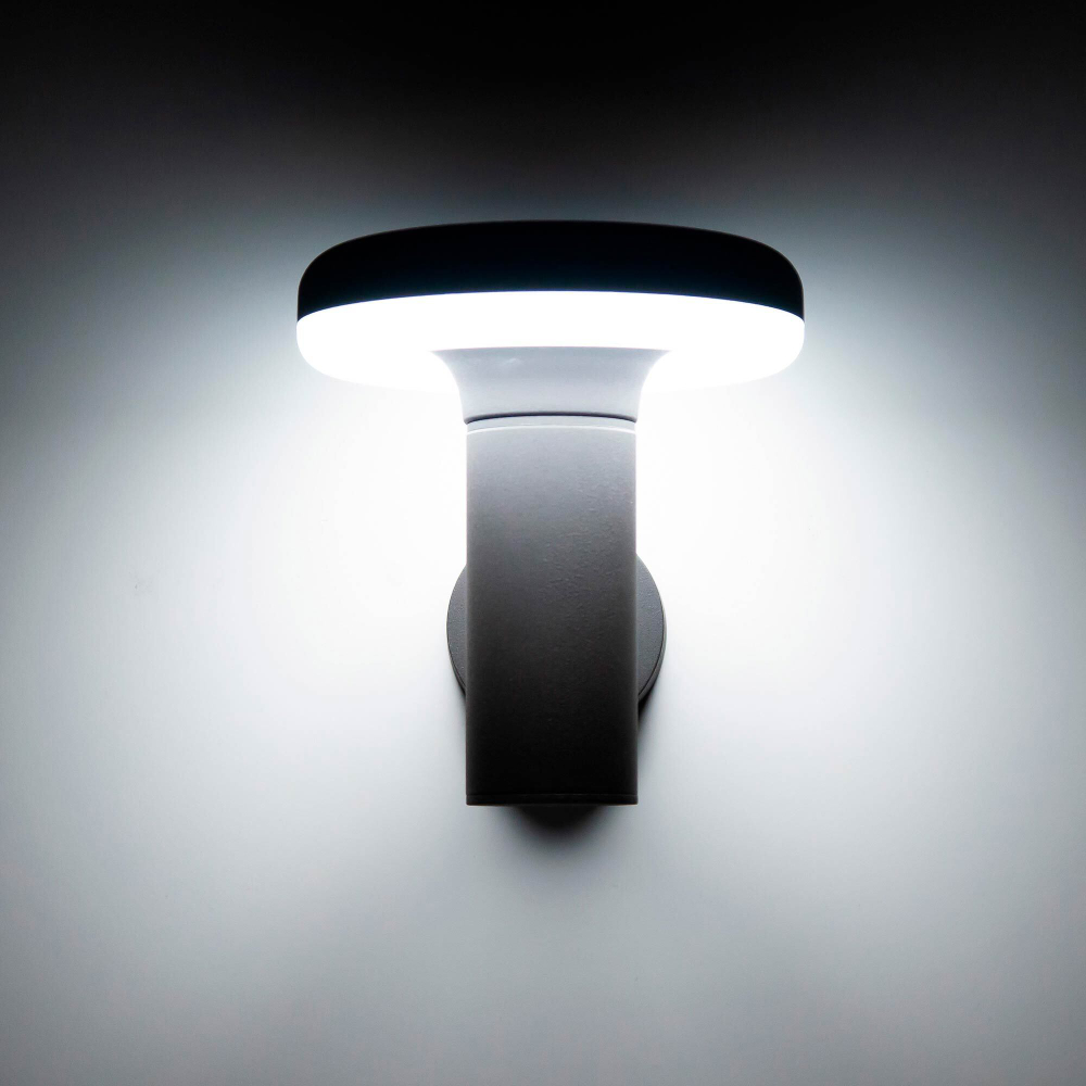 Citilux GARDA CLU01W LED Уличный настенный светильник Графит