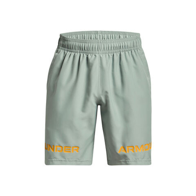 Мужские теннисные шорты Under Armour Woven Graphic Wordmark Shorts Men - Grey
