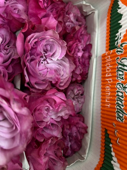 11 раз в ленту