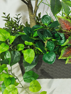 Искусственное растение Кофе с колеусом 75см в длинном кашпо