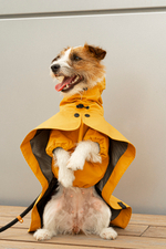 Дождевик "Пони-парасоли"