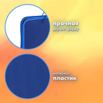 Папка на молнии пластиковая с ручками BRAUBERG А4 350х270х45 мм фактура бисер синий (2 штуки в упаковке)