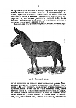 Животноводство. Учение о том, как с пользой для людей разводить, содержать и лечить лошадей, коров, овец, свиней, коз, кроликов и птиц | Майстрах Владимир Францевич