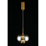 Подвесной светодиодный светильник Aployt Ambr APL.057.06.12