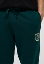 Брюки спортивные мужские PUMA SPORTS LEGACY Graphic Sweatpants TR cl