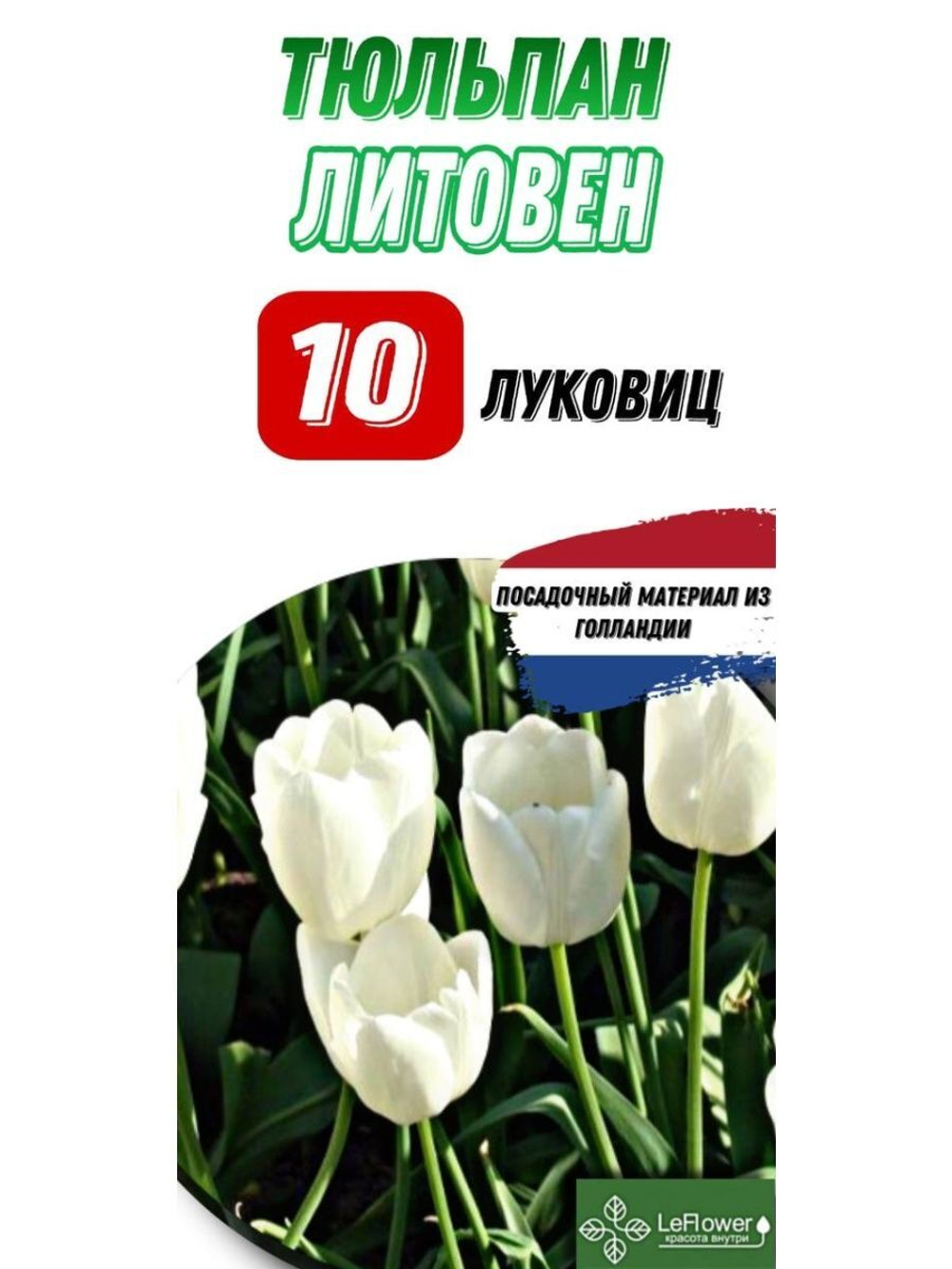 Тюльпан Луковица, Литоувен, 10шт