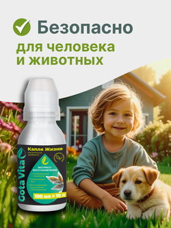 Экспресс -восстановление 100/10