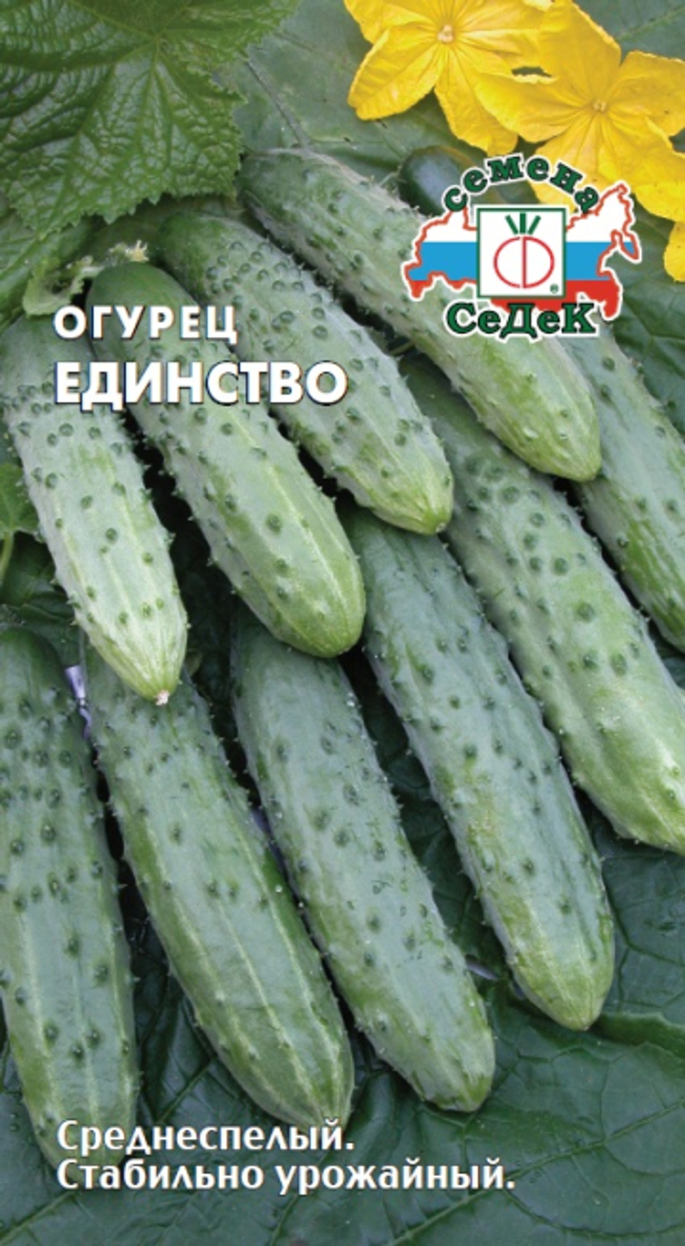 огурец Единство