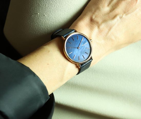 Женские часы Skagen SKW2731