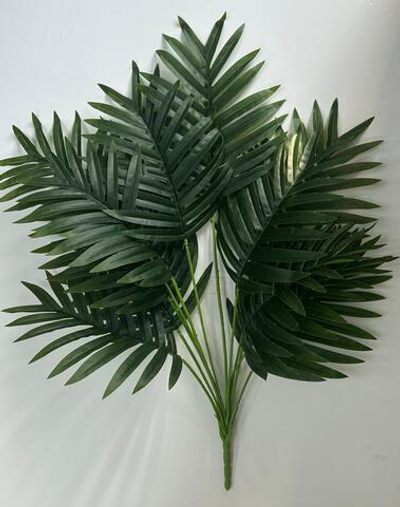 Куст пальмы Малибу