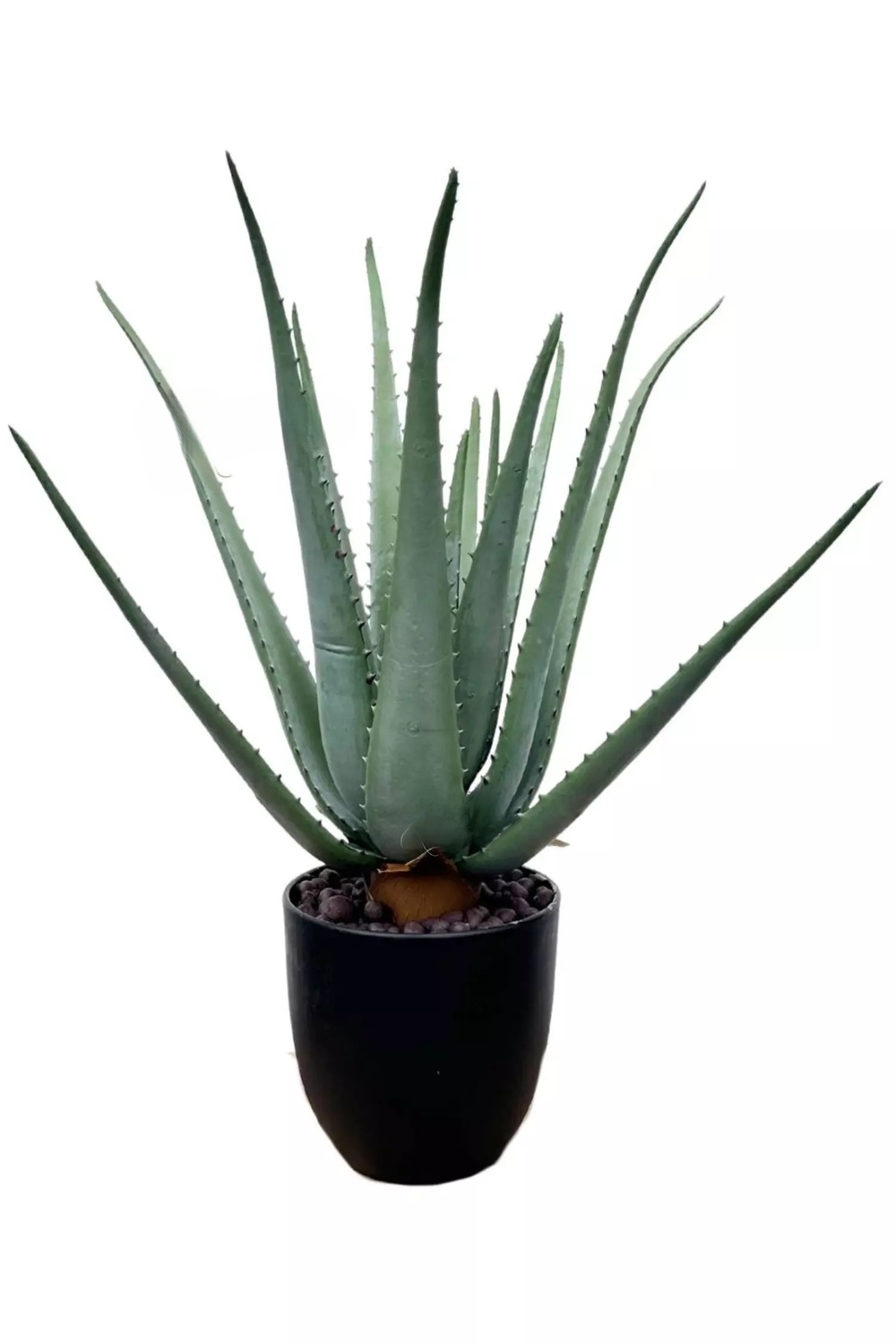 Алоэ в кашпо 50см