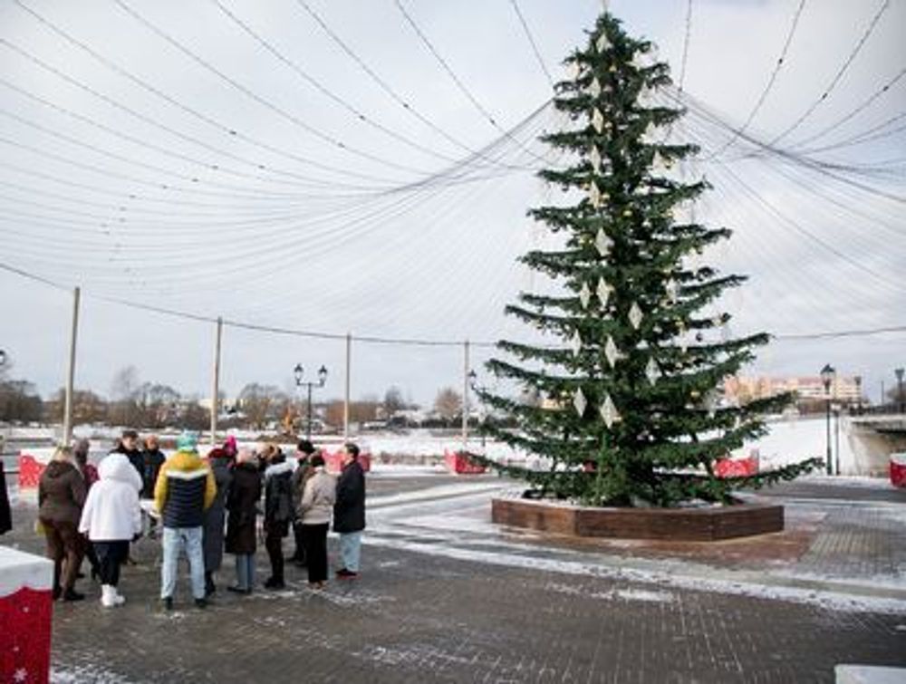 Светодинамическая елка ствольная со скамейкой, встроенная гирлянда: Холодный свет - "Лесная" Литая хвоя - от 6 до 18 м