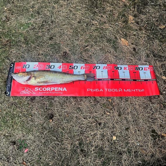 Линейка Scorpena для измерения улова