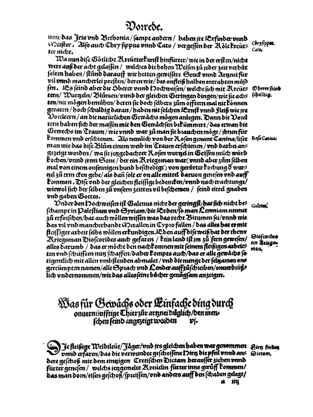 Kreuter Buch darinn underscheidt Namen unnd Wurckung der Kreutter, Stauden | Hieronymus Bock; Josias Rihel