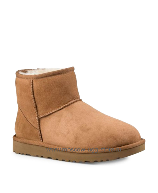 CLASSIC MINI II-chestnut