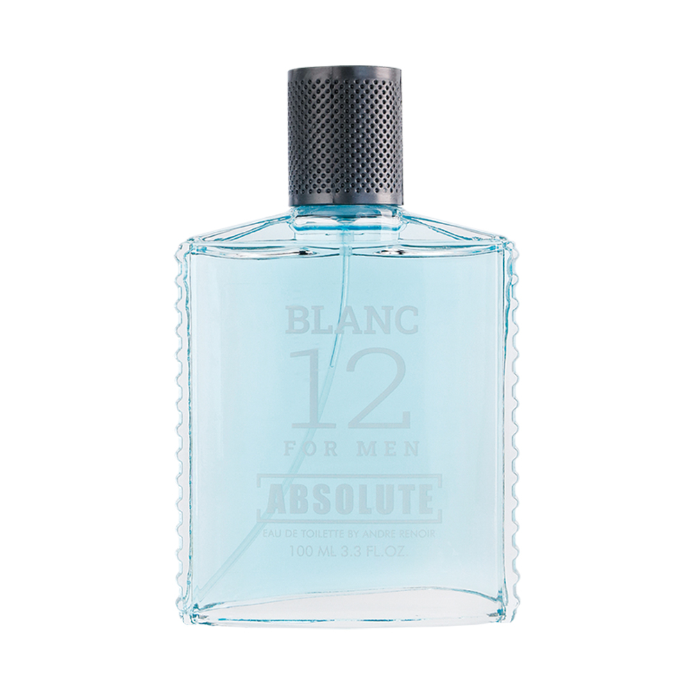 Вода туалетная Absolute Blanc 12 (Абсолют Бланк 12) – 100ml for men