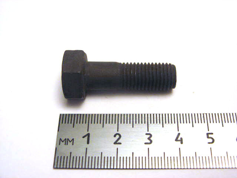 Болт10х 32 цапфы короткий (голый) (ОАО «БелЗАН»)