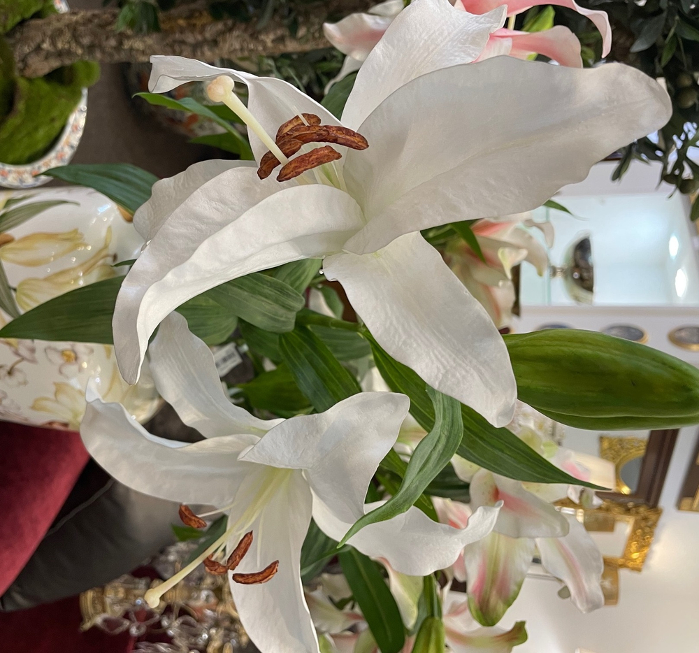 Лилия белая с бутоном