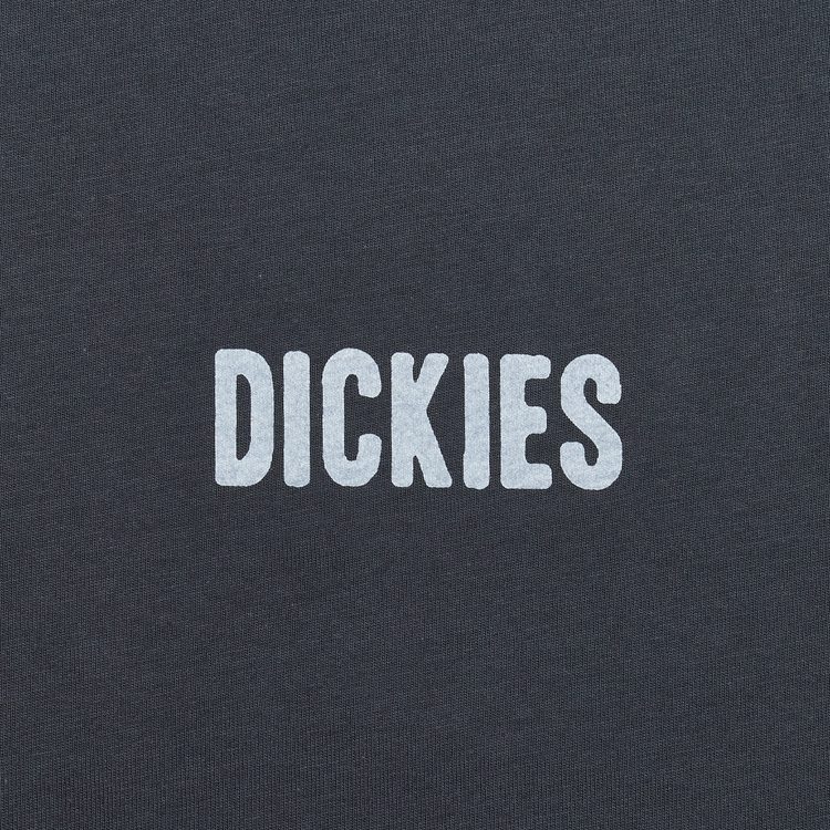 Футболка мужская Dickies Wolfhurst Short Sleeve Tee 