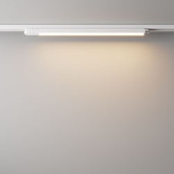 Трековый светильник Maytoni Technical TR000-1-24W3K-W