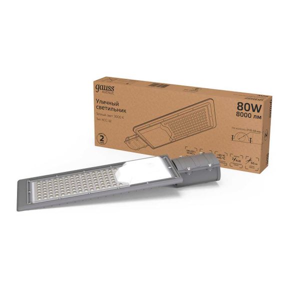 Уличный светодиодный светильник Gauss 629534180