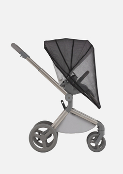 Anex Детская коляска Flo 2 в 1 Frossy