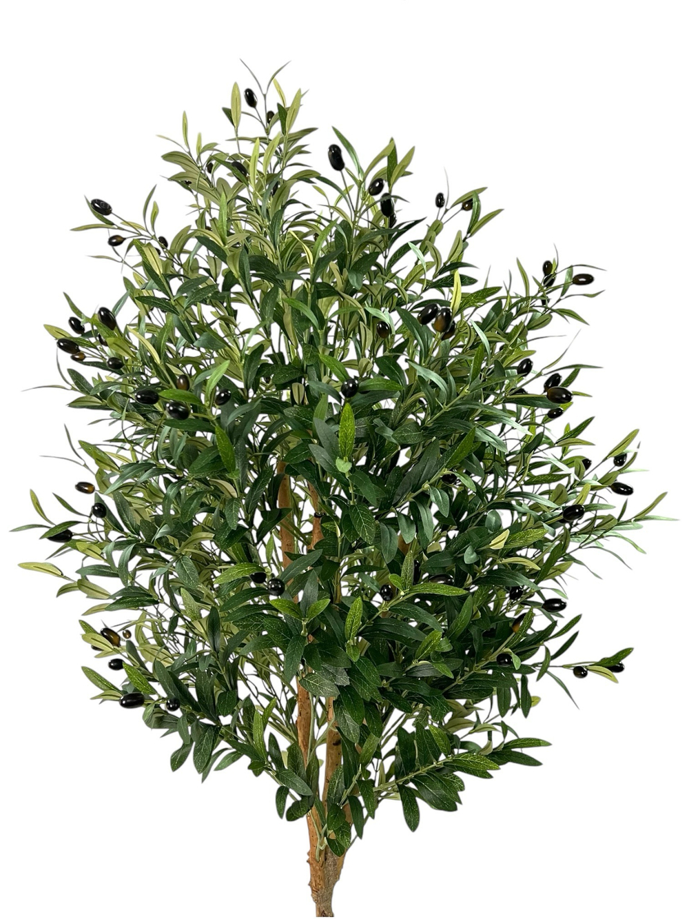 Олива 180 см.