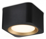 Накладной светильник Ambrella Light TN TN70832
