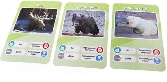 Настольная игра Это факт! Зоопарк