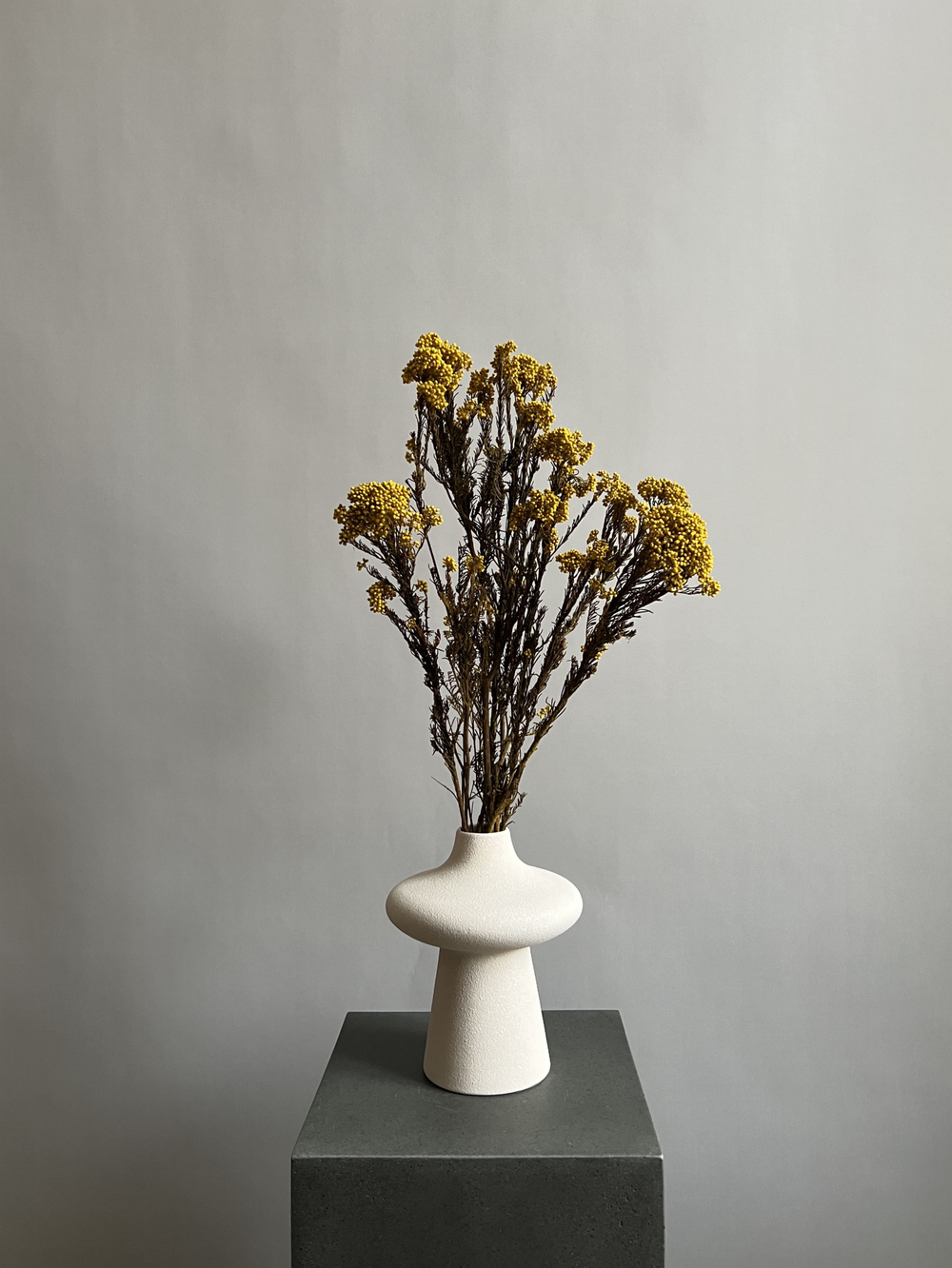 Озотамнус стабилизированный желтый