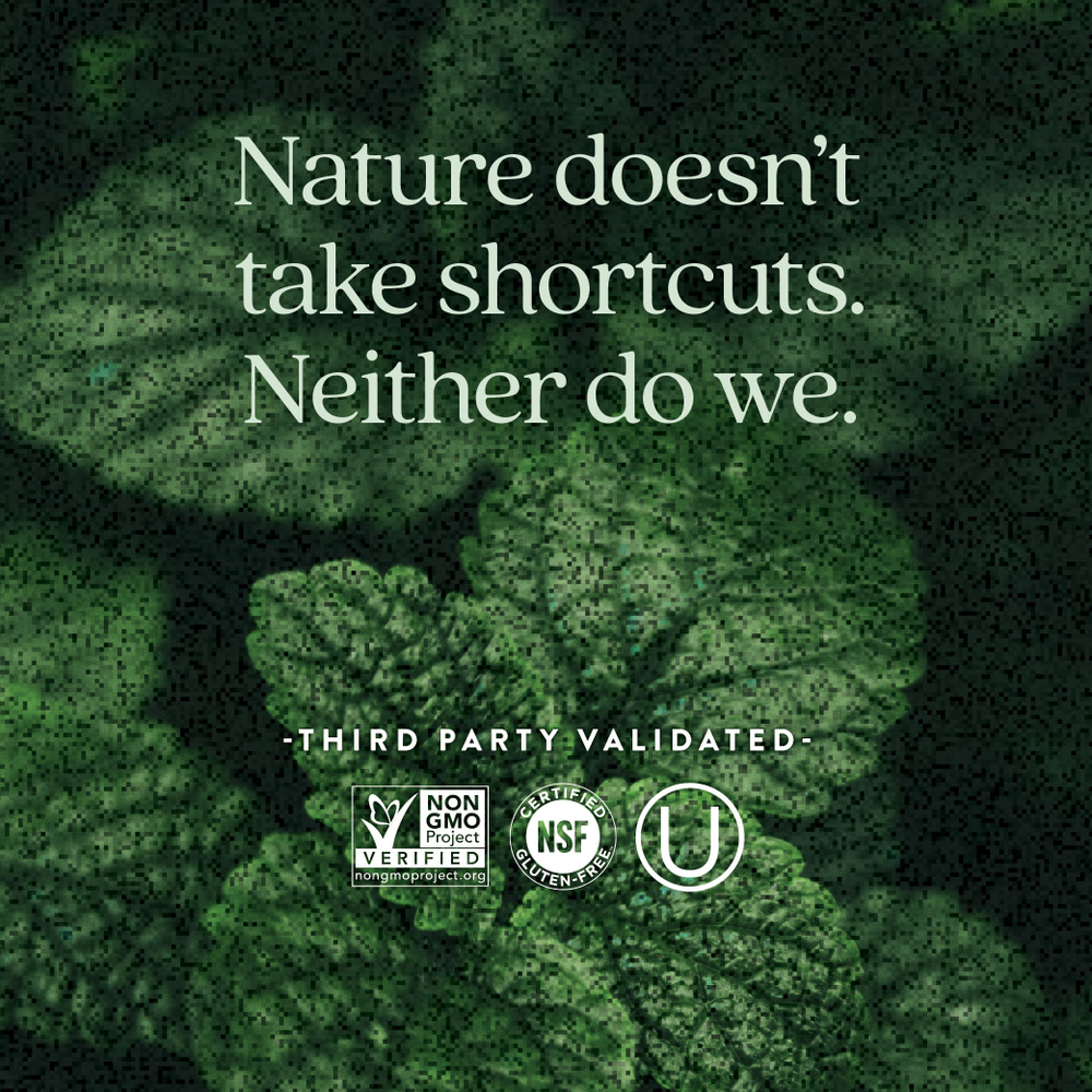 New Chapter, Мультивитамины для беременных (35+), 90 вегетарианских таблеток