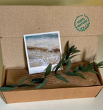 Набор миниатюр "Клеопатра"