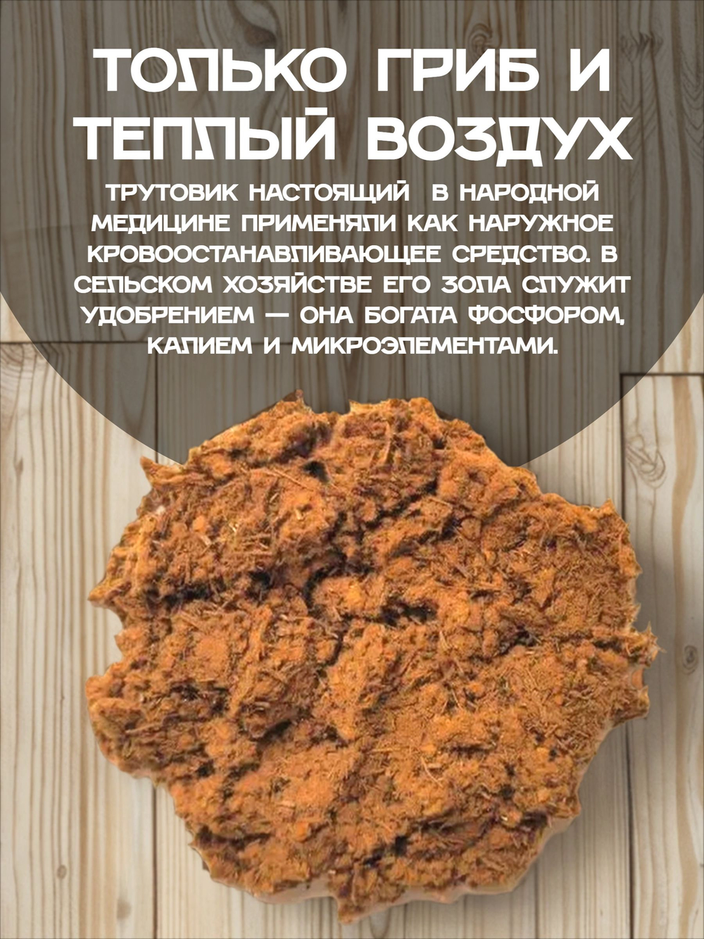 Трутовик настоящий.