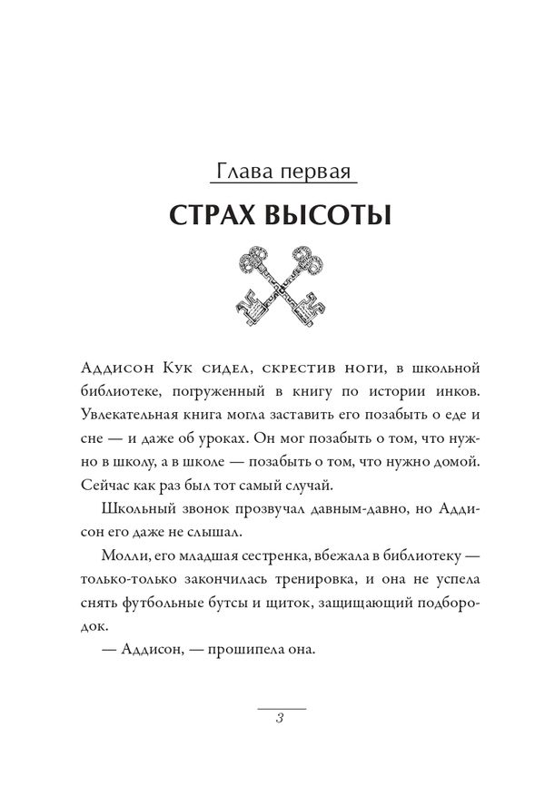 Аддисон Кук и сокровища инков